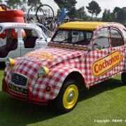 Citroen 2cv Cochonou