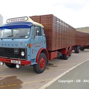 Volvo F86